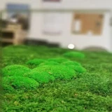 Mech poduszkowy (kulisty) – efekt 3D na ścianie