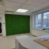 Chrobotek reniferowy – mech dekoracyjny premium | Mossarte