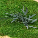 Nicoly stabilizowane – wygląd i zastosowanie