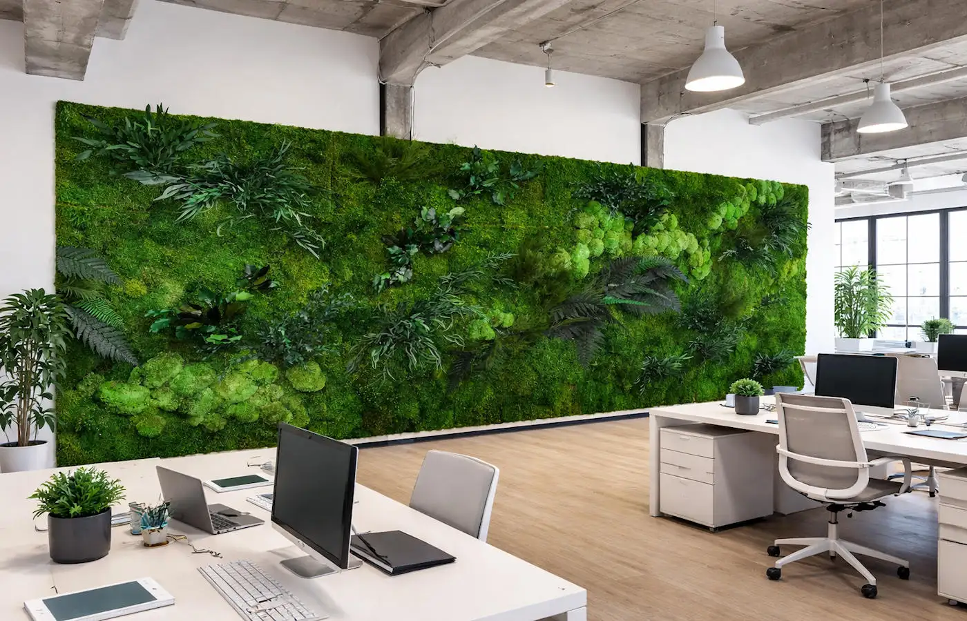 Zielona ściana z mchu stabilizowanego w przestrzeni open space poprawiająca komfort pracy