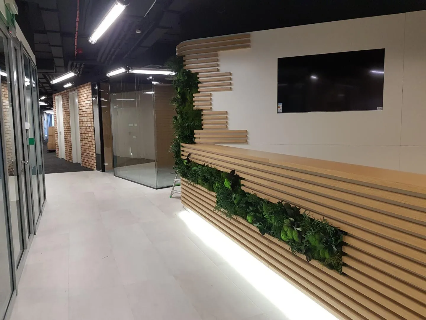 zielona ściana z mchu stabilizowanego w biurze – biophilic design