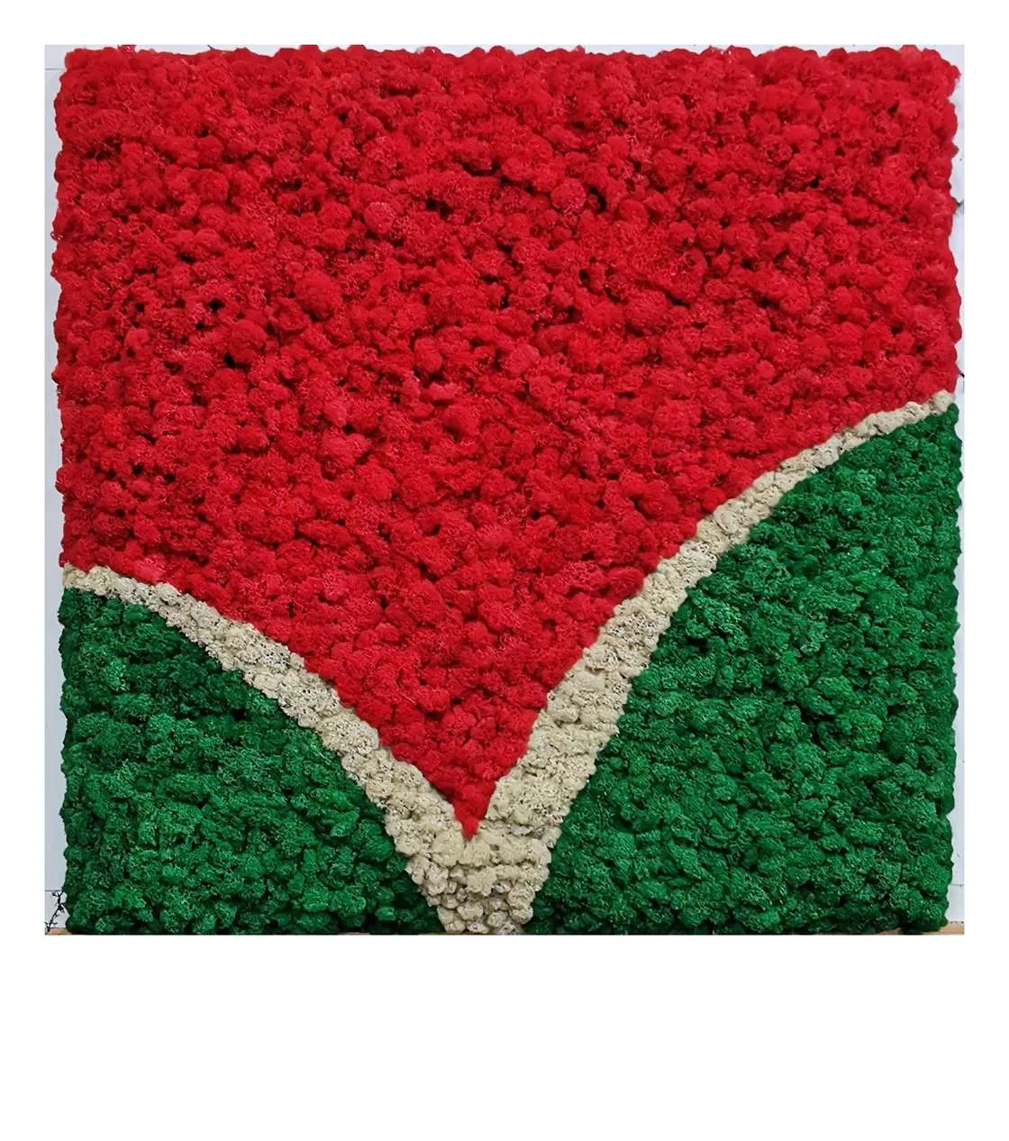 Logotyp z mchu dla firmy Balzer GmbH