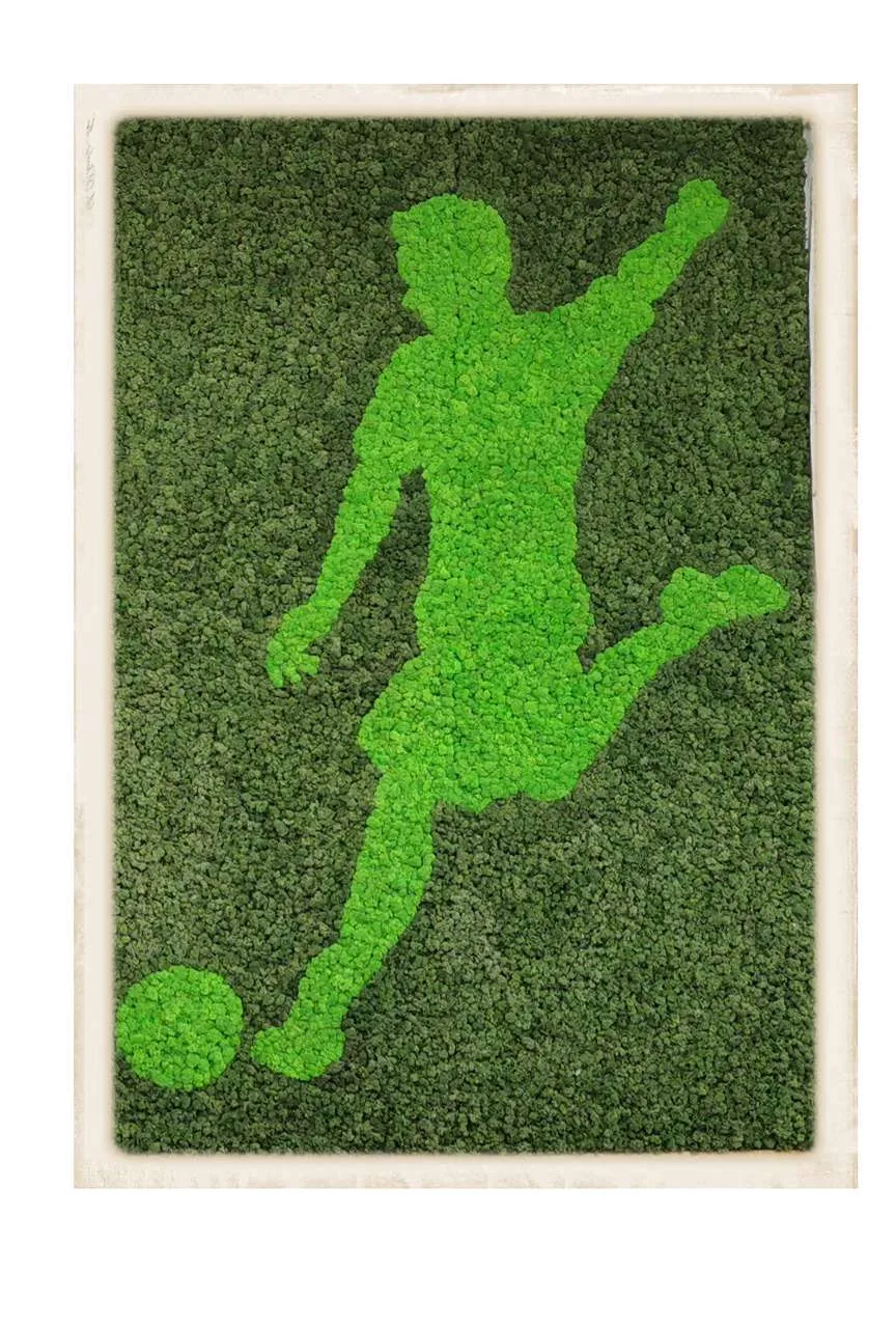 Obraz z mchu z motywem piłkarza w hali sportowej