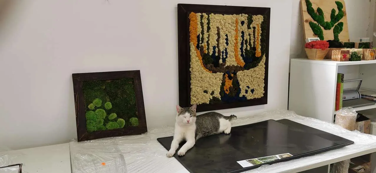 Obraz z chrobotka reniferowego – impresja przedstawiająca łosia