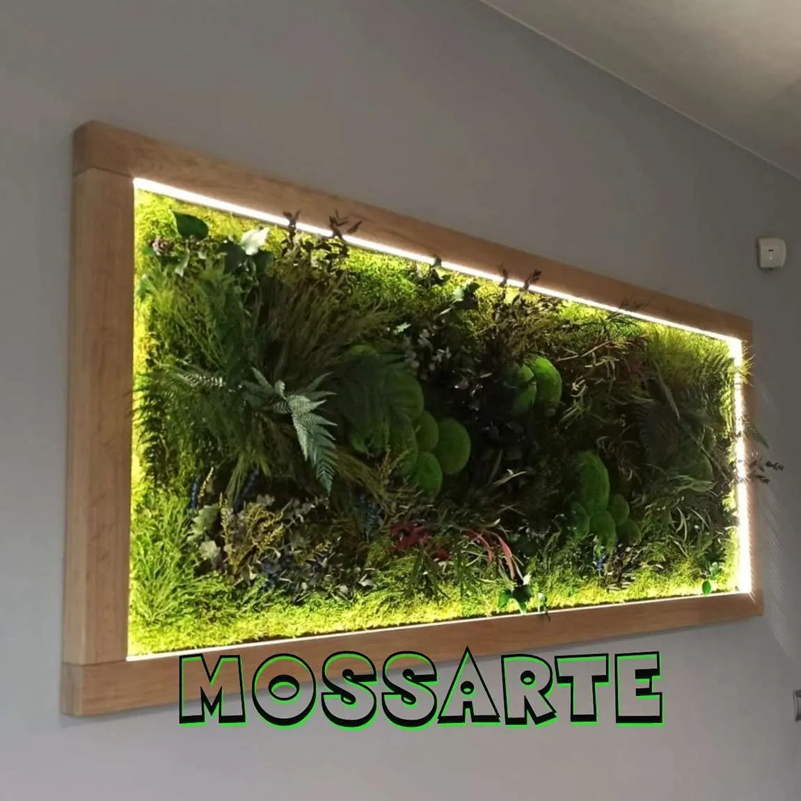 Obraz z roślin stabilizowanych z podświetleniem LED w drewnianej ramie