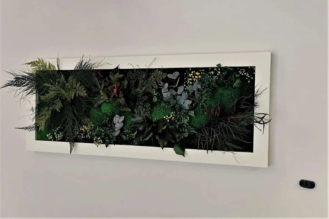 Obraz z roślin stabilizowanych w białej ramie