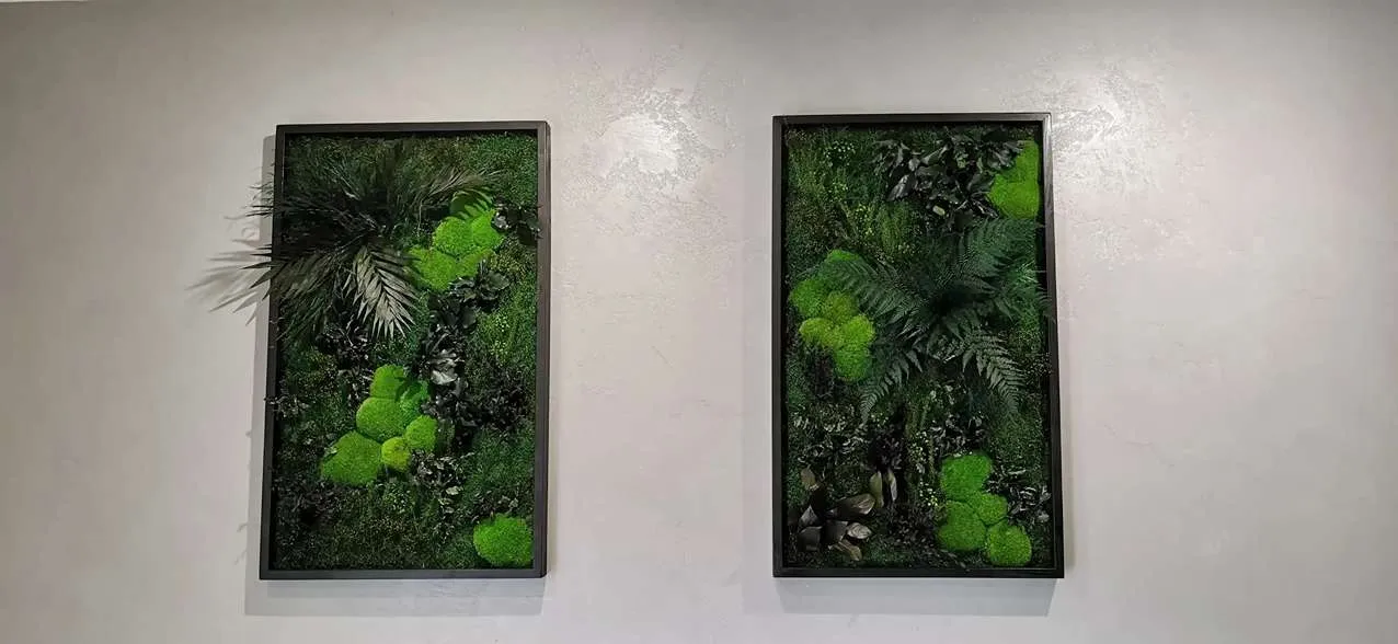 Obrazy z mchu poduszkowego i roślin stabilizowanych w metalowych ramach