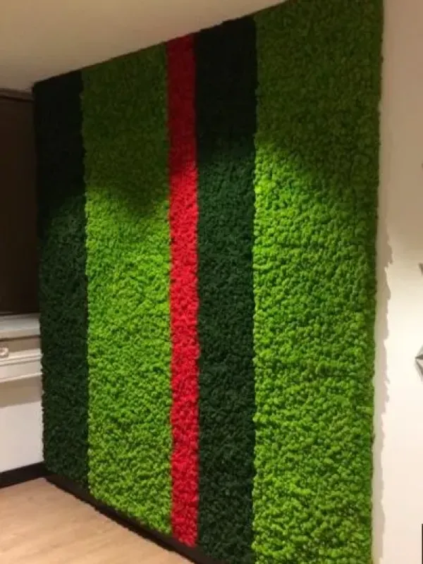 Zielona ściana z chrobotka reniferowego – dekoracyjne pasy