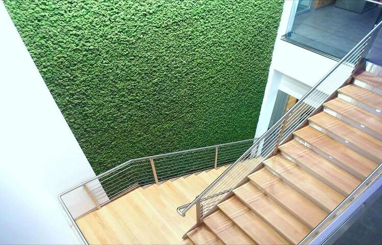 Zielona ściana z chrobotka reniferowego na klatce schodowej