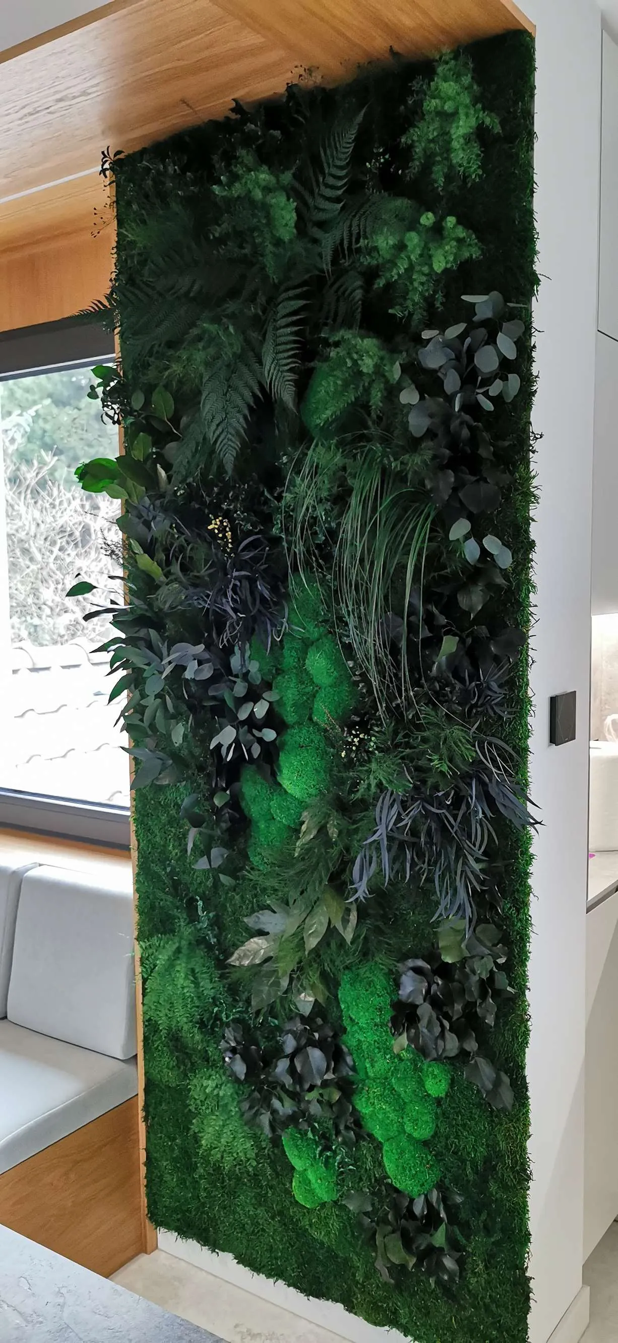 Zielona ściana z mchu i roślin stabilizowanych przy oknie