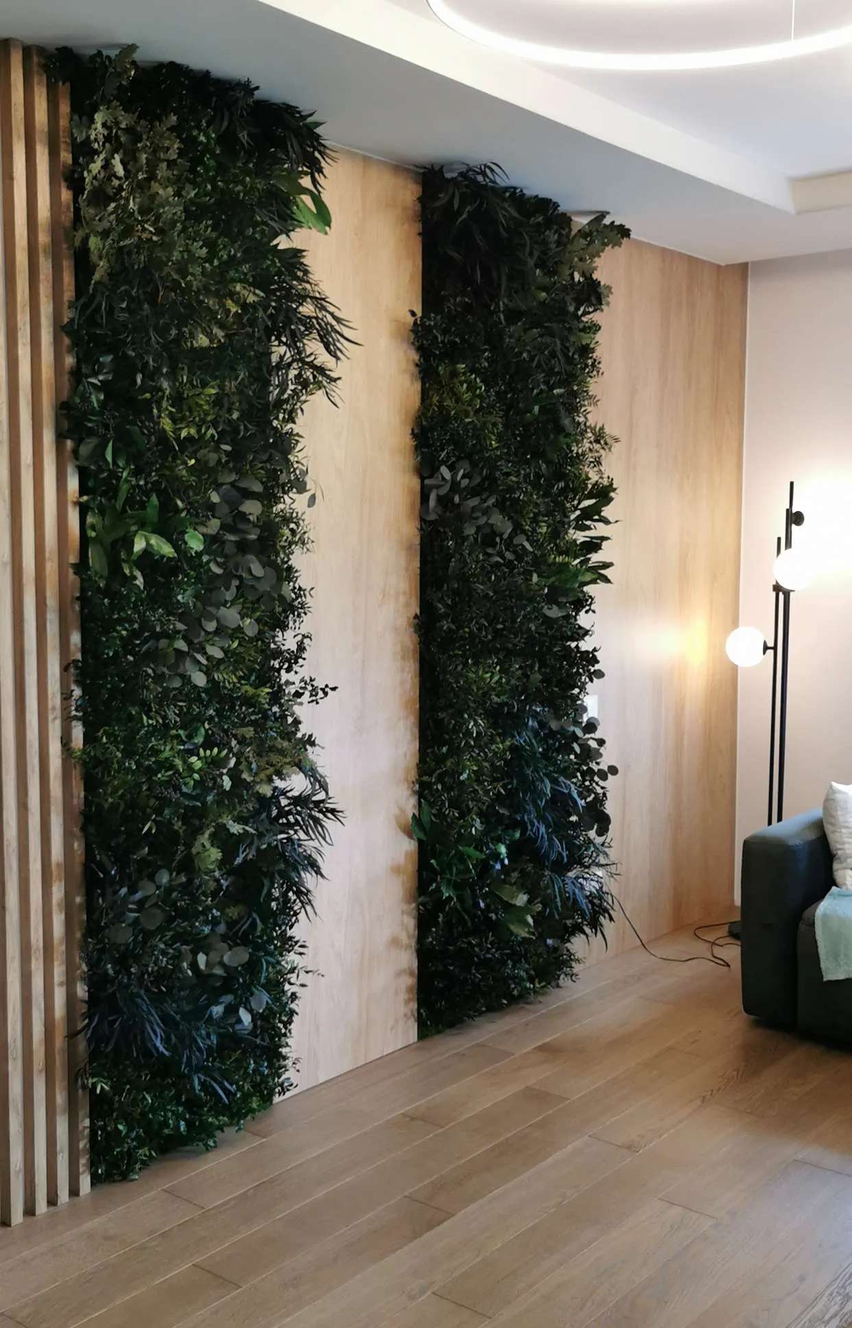 Zielona ściana z roślin stabilizowanych w salonie