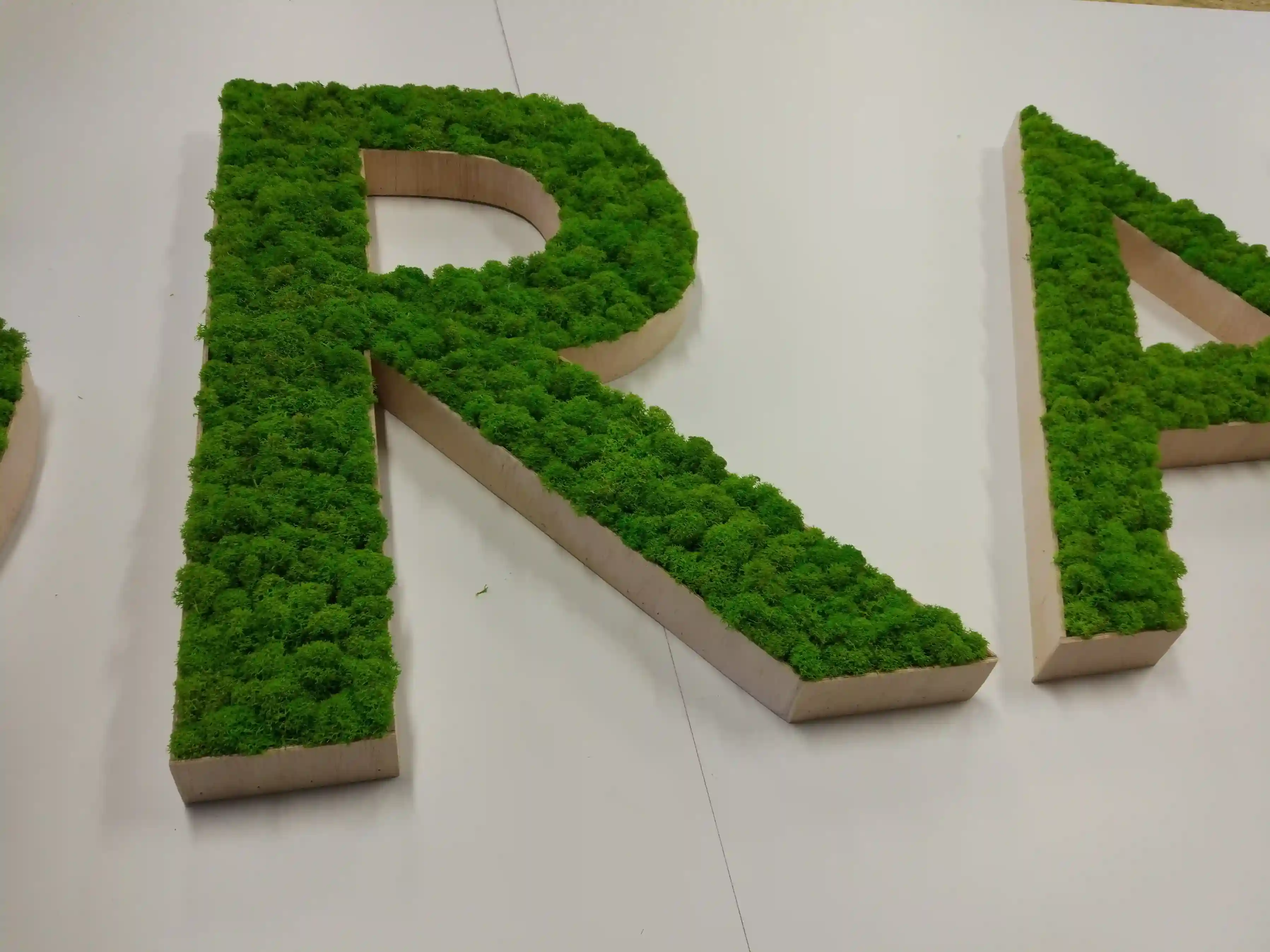 napis dekoracyjny z chrobotka reniferowego