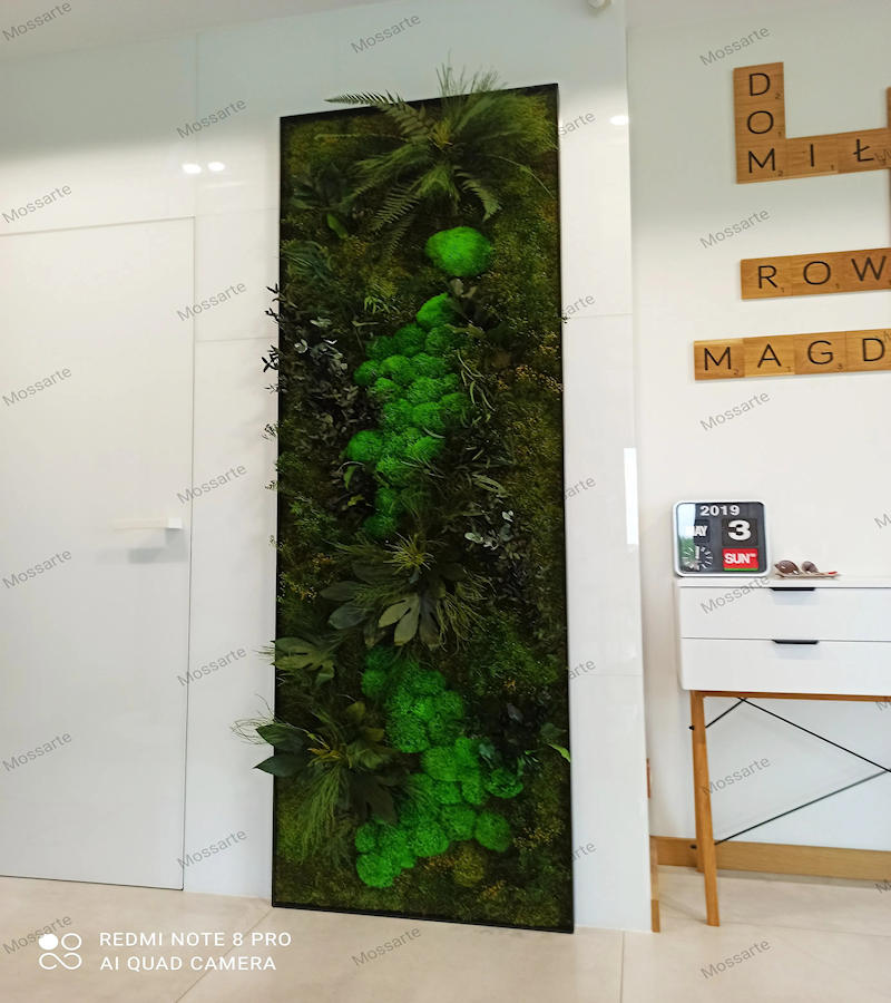 zieleń w mieszkaniu – pionowy obraz z roślin stabilizowanych w holu mieszkania