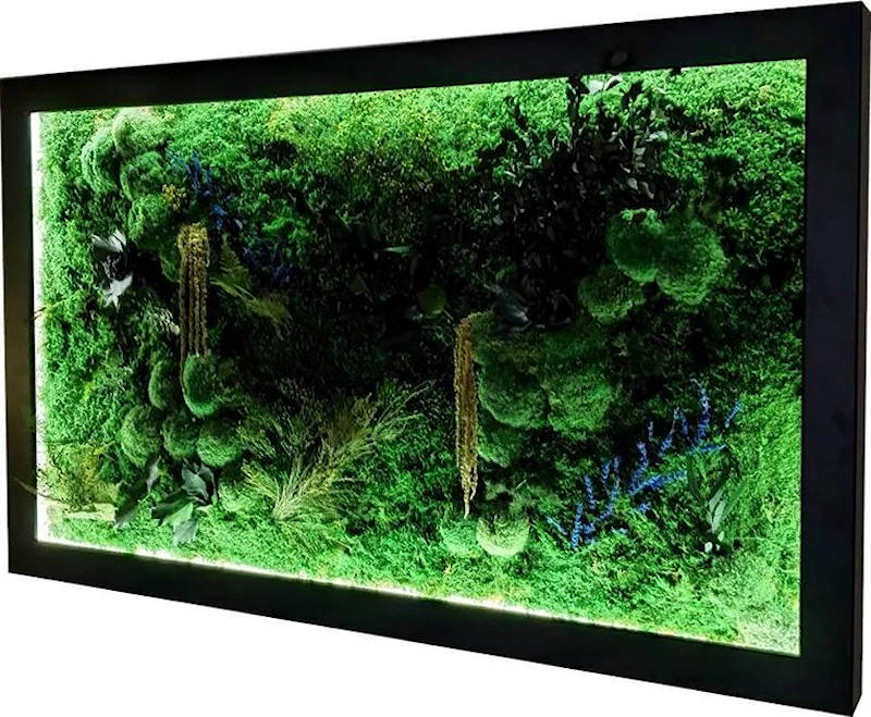 zieleń w mieszkaniu – obraz z roślin stabilizowanych z podświetleniem LED