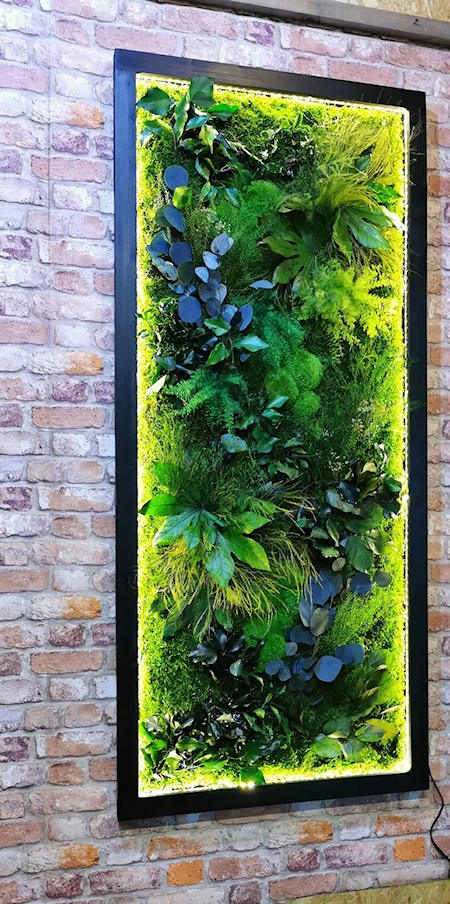 zieleń w mieszkaniu – podświetlany obraz z roślin stabilizowanych w czarnej ramie