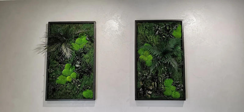 zieleń w mieszkaniu – dwa obrazy z roślin stabilizowanych na ścianie