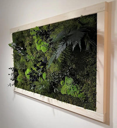 zieleń w mieszkaniu – obraz z roślin stabilizowanych w jasnej drewnianej ramie