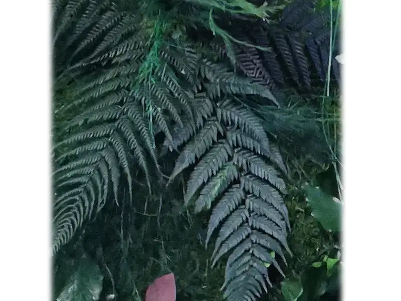 paproć stabilizowana zielona ściana struktura aranżacja