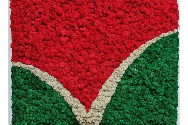 Logotyp z mchu dla firmy Balzer GmbH