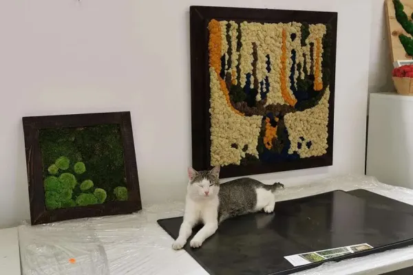 Obraz z chrobotka reniferowego – impresja przedstawiająca łosia