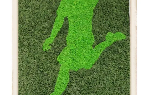 Obraz z mchu z motywem piłkarza w hali sportowej