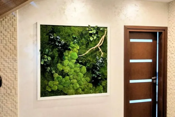 Obraz z mchu poduszkowego i roślin stabilizowanych z gałęzią