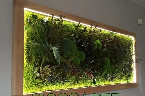 Obraz z roślin stabilizowanych z podświetleniem LED w drewnianej ramie