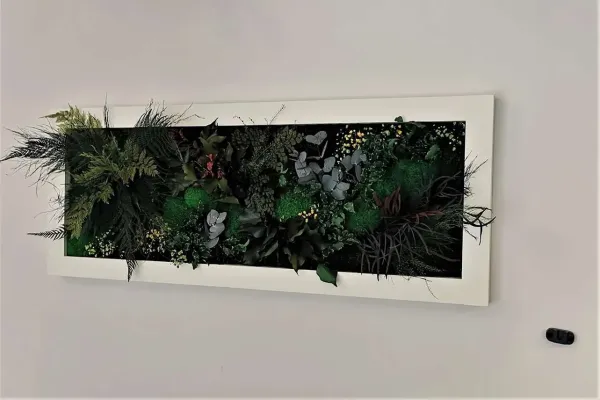 Obraz z roślin stabilizowanych w białej ramie