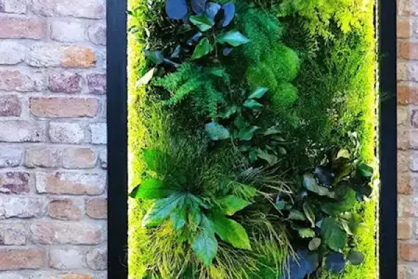 Obraz z roślin stabilizowanych z podświetleniem LED