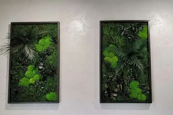 Obrazy z mchu poduszkowego i roślin stabilizowanych w metalowych ramach