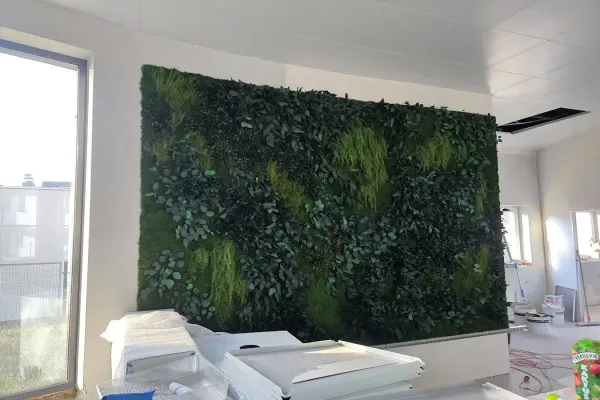 Zielona ściana z roślin stabilizowanych – montaż dla Bio-Gen w Łodzi