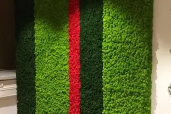 Zielona ściana z chrobotka reniferowego – dekoracyjne pasy