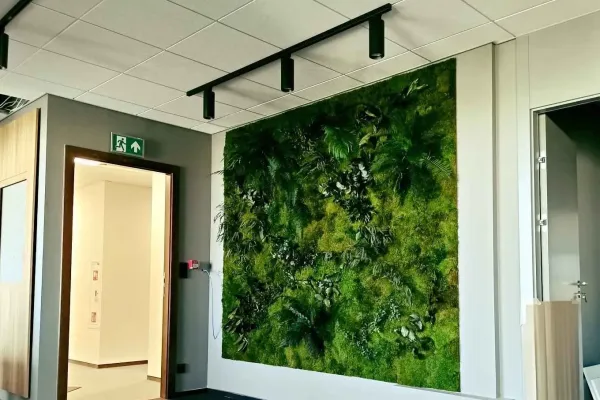 Zielona ściana z mchu stabilizowanego w biurze Tako Media