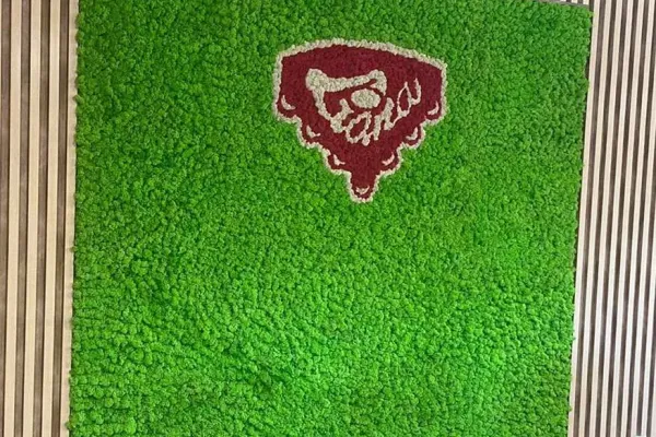 Zielona ściana z mchu z logotypem Liana Słowacja