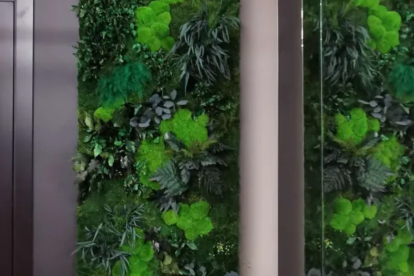 Zielona ściana z mchu i roślin stabilizowanych w przedpokoju