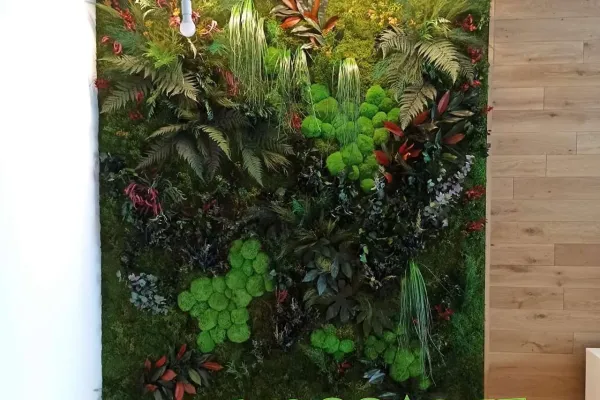 Zielona ściana z roślin stabilizowanych i mchu – aranżacja wnętrza