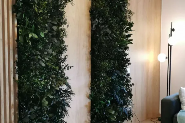 Zielona ściana z roślin stabilizowanych w salonie